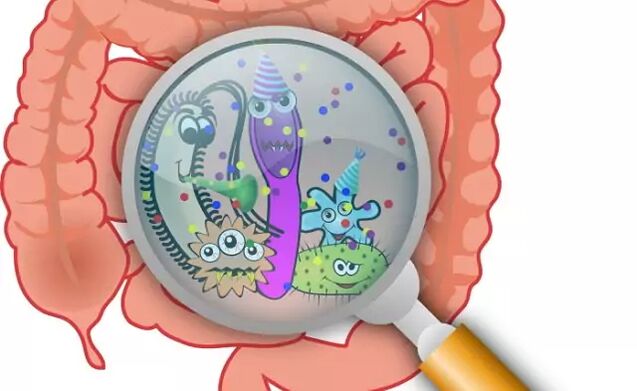 Parasiten im Darm