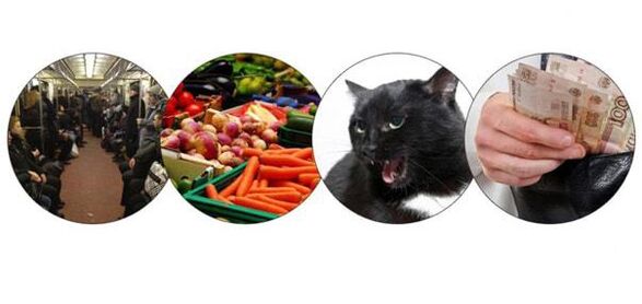 Wie erkrankt ein Mensch an Parasiten